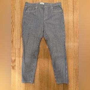 LOFT Blue Striped Ankle Jeans (W-10)